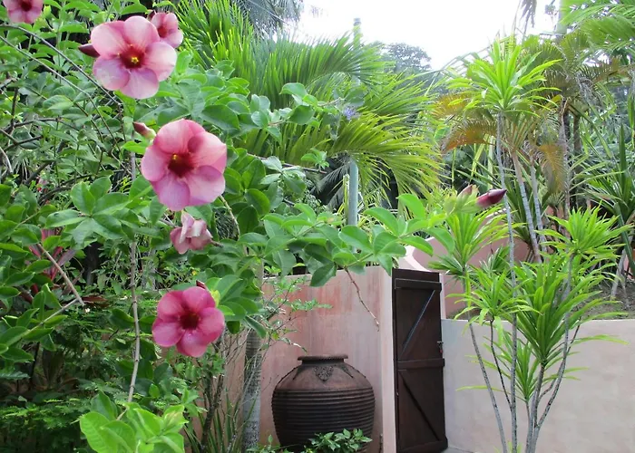 Bougainville * Takamaka